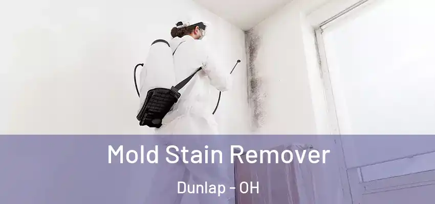 Mold Stain Remover Dunlap - OH