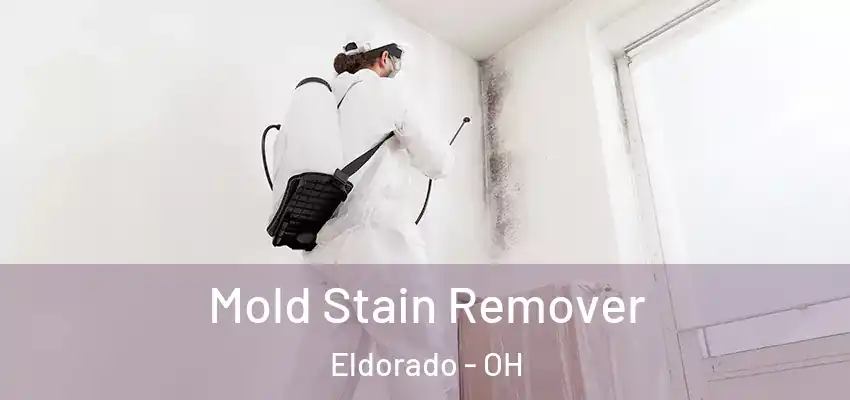 Mold Stain Remover Eldorado - OH