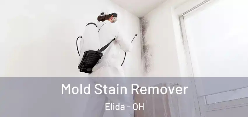  Mold Stain Remover Elida - OH