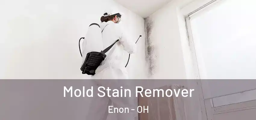 Mold Stain Remover Enon - OH