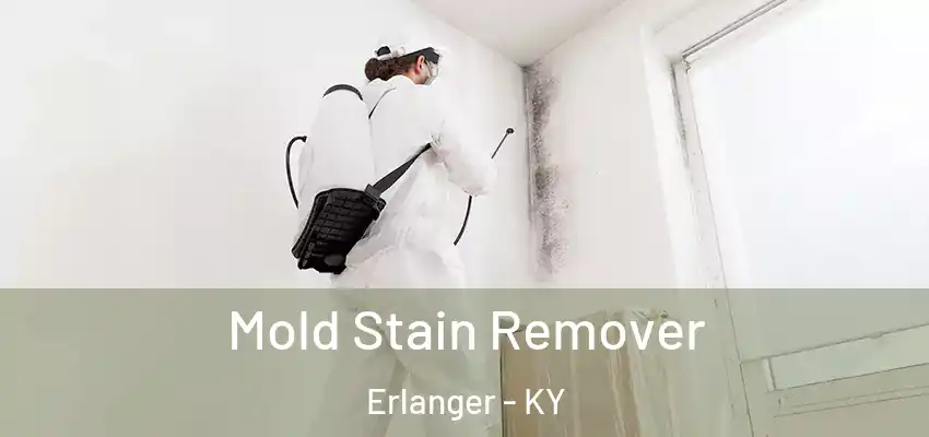 Mold Stain Remover Erlanger - KY