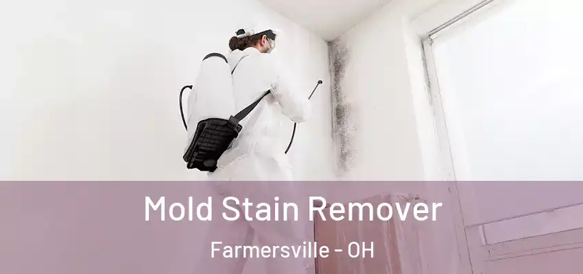  Mold Stain Remover Farmersville - OH