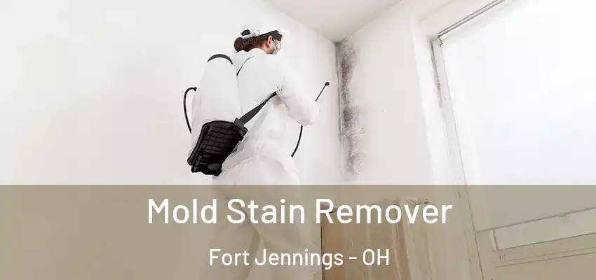 Mold Stain Remover Fort Jennings - OH