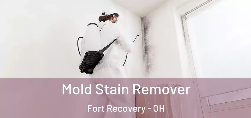  Mold Stain Remover Fort Recovery - OH