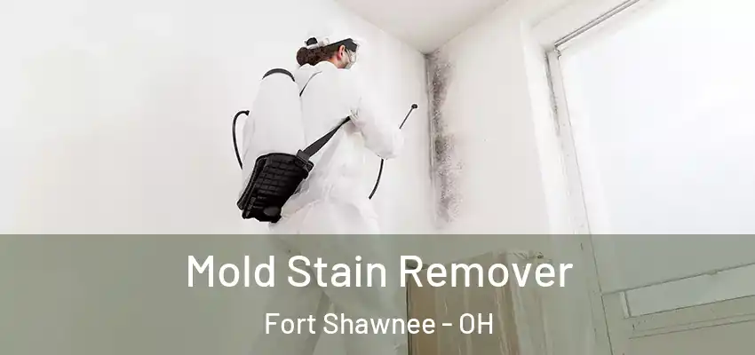  Mold Stain Remover Fort Shawnee - OH