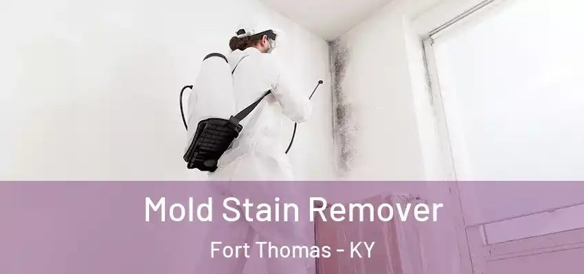 Mold Stain Remover Fort Thomas - KY