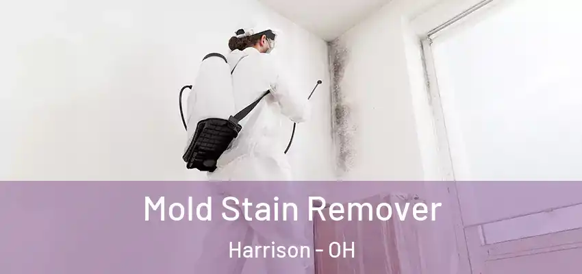 Mold Stain Remover Harrison - OH