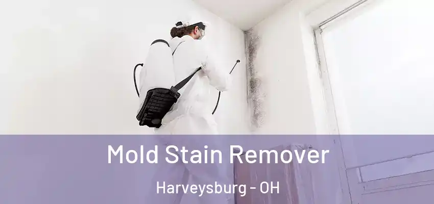  Mold Stain Remover Harveysburg - OH