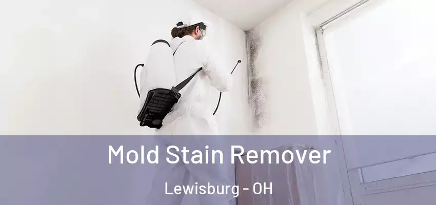  Mold Stain Remover Lewisburg - OH