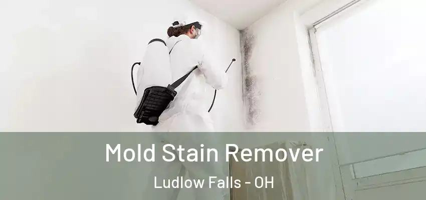 Mold Stain Remover Ludlow Falls - OH