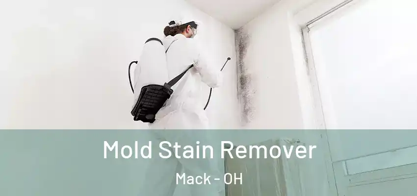  Mold Stain Remover Mack - OH