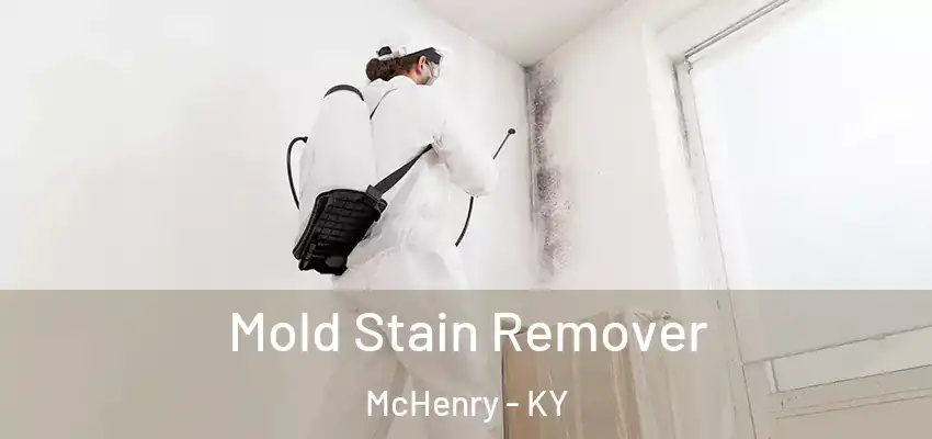Mold Stain Remover McHenry - KY