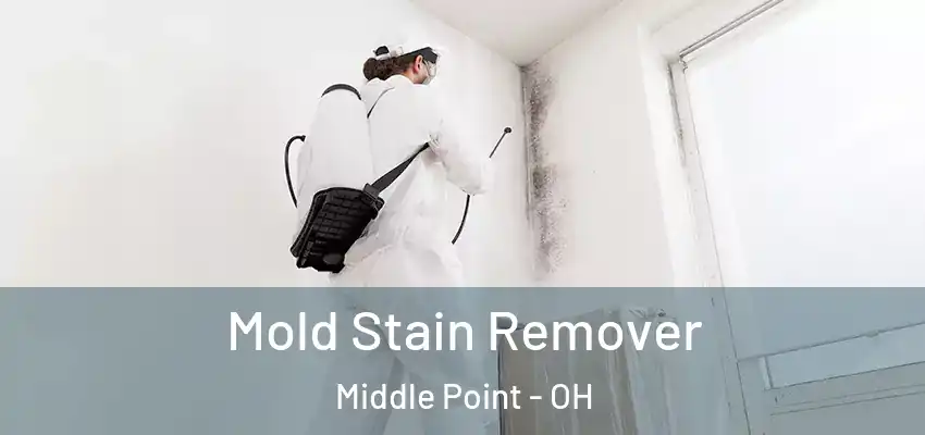  Mold Stain Remover Middle Point - OH