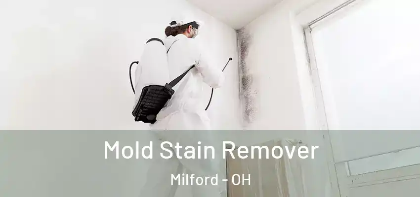 Mold Stain Remover Milford - OH