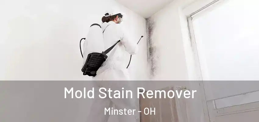  Mold Stain Remover Minster - OH