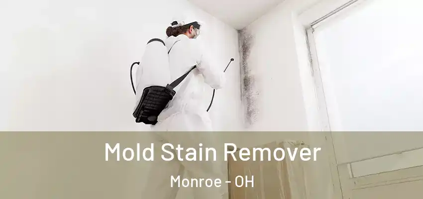  Mold Stain Remover Monroe - OH