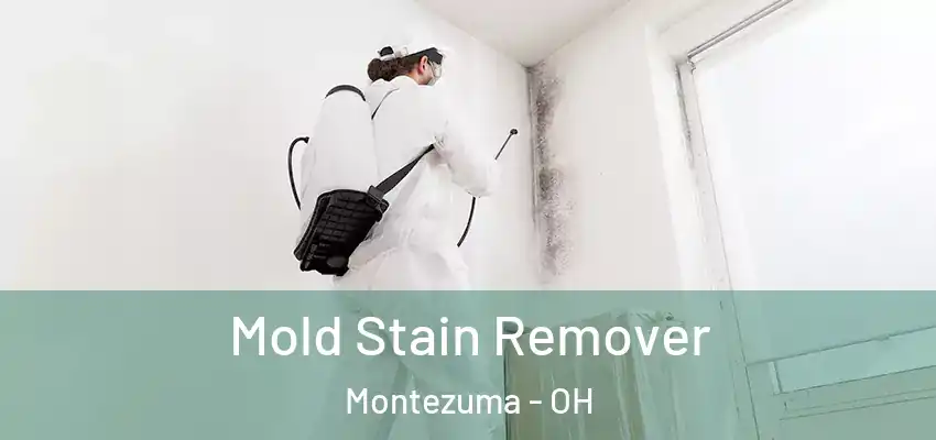 Mold Stain Remover Montezuma - OH