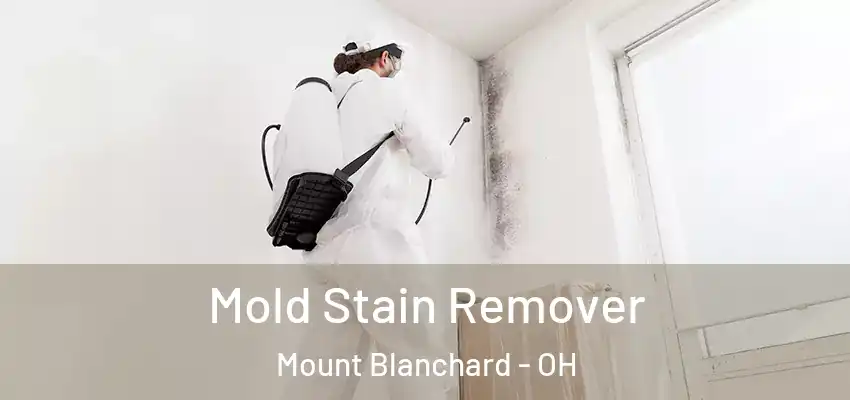 Mold Stain Remover Mount Blanchard - OH