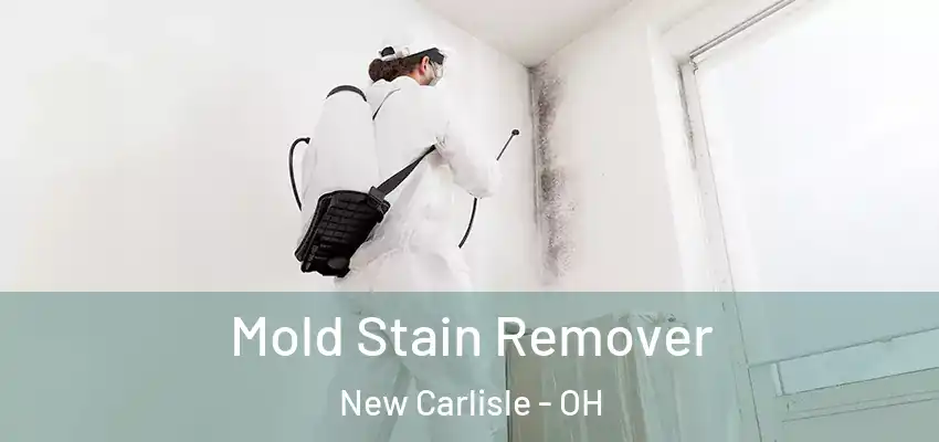  Mold Stain Remover New Carlisle - OH