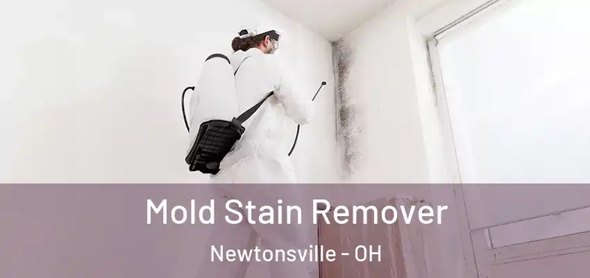  Mold Stain Remover Newtonsville - OH