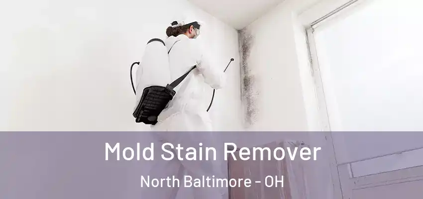 Mold Stain Remover North Baltimore - OH