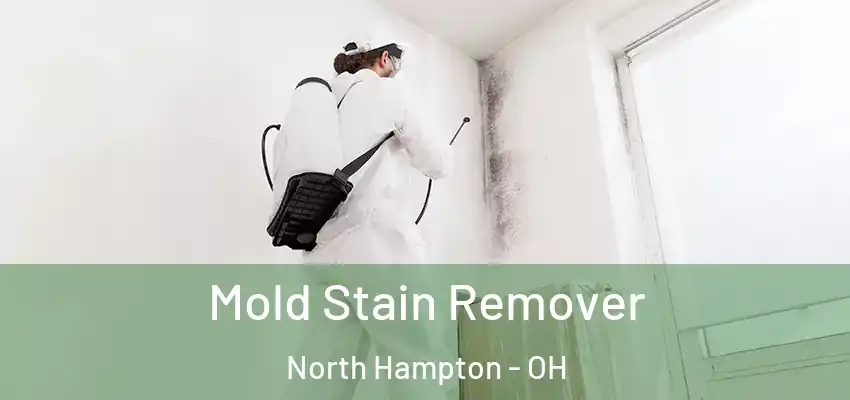 Mold Stain Remover North Hampton - OH