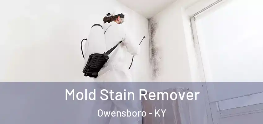 Mold Stain Remover Owensboro - KY