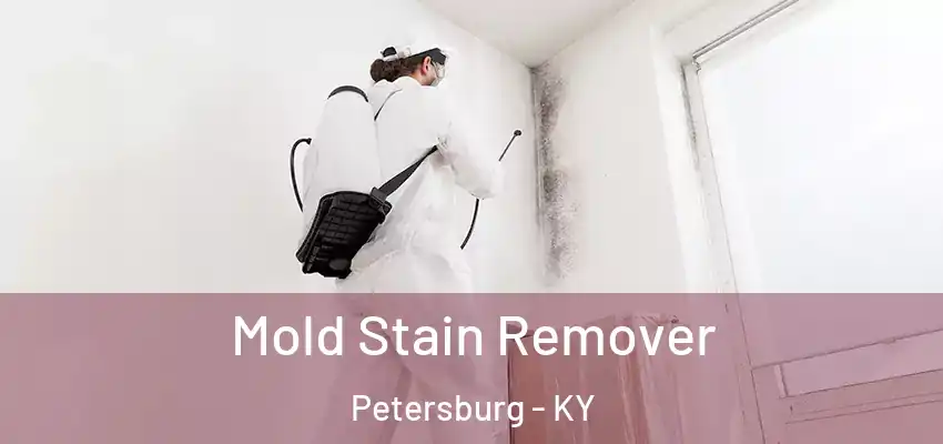  Mold Stain Remover Petersburg - KY