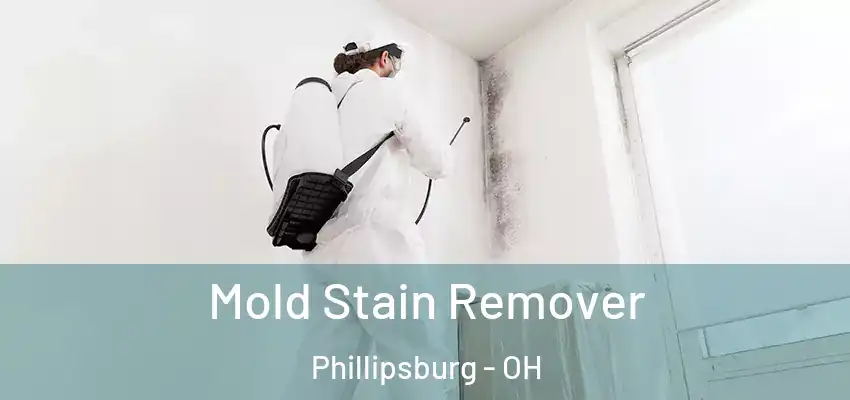  Mold Stain Remover Phillipsburg - OH