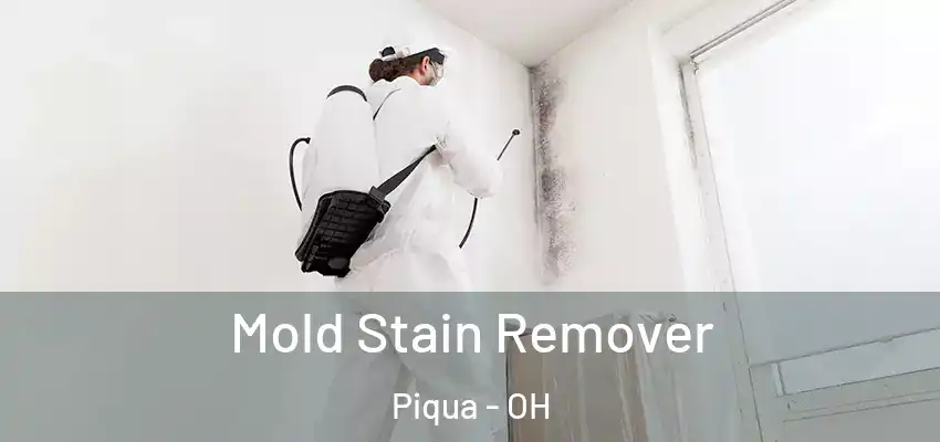Mold Stain Remover Piqua - OH