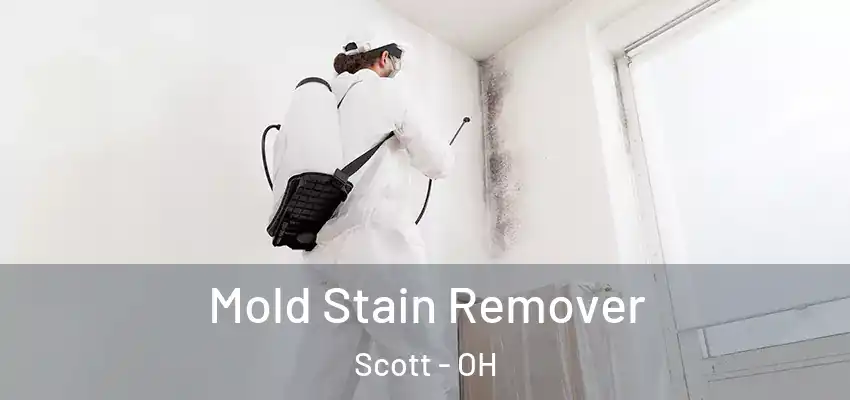 Mold Stain Remover Scott - OH