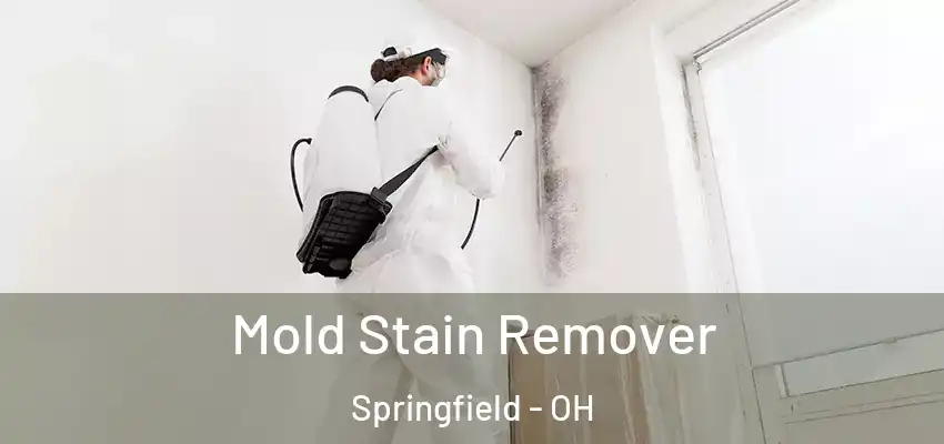 Mold Stain Remover Springfield - OH