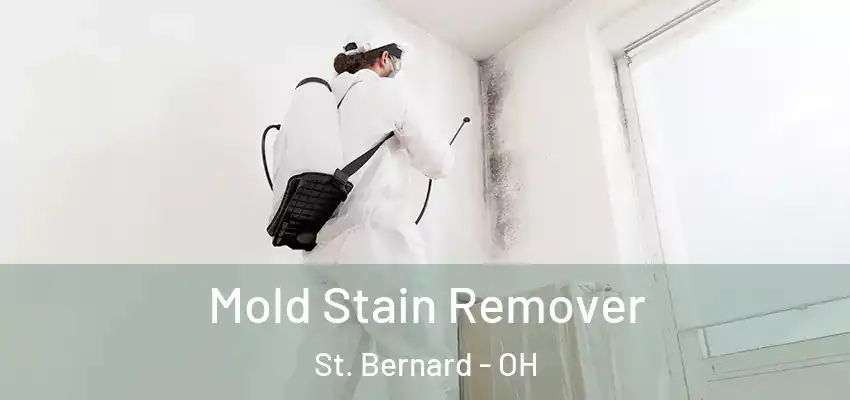 Mold Stain Remover St. Bernard - OH