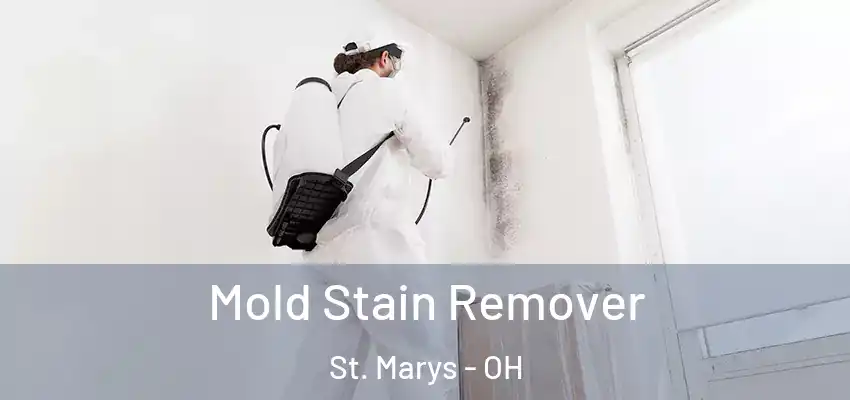  Mold Stain Remover St. Marys - OH