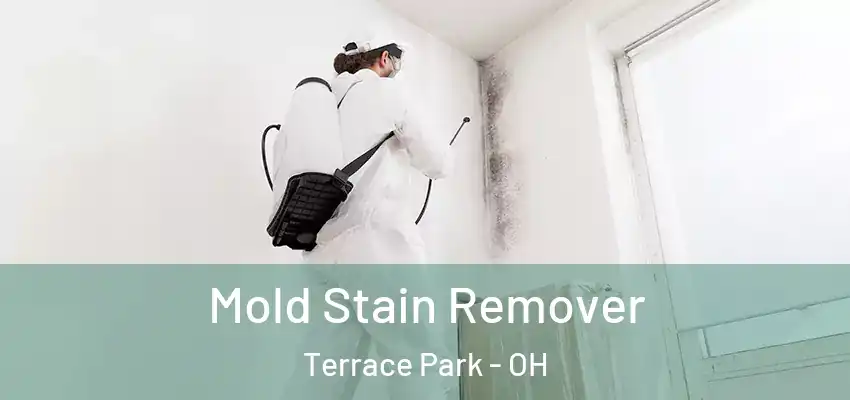  Mold Stain Remover Terrace Park - OH