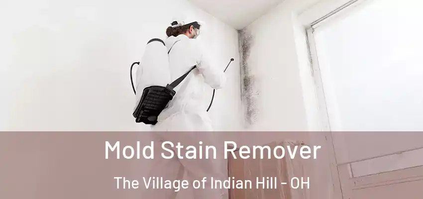 Mold Stain Remover The Village of Indian Hill - OH