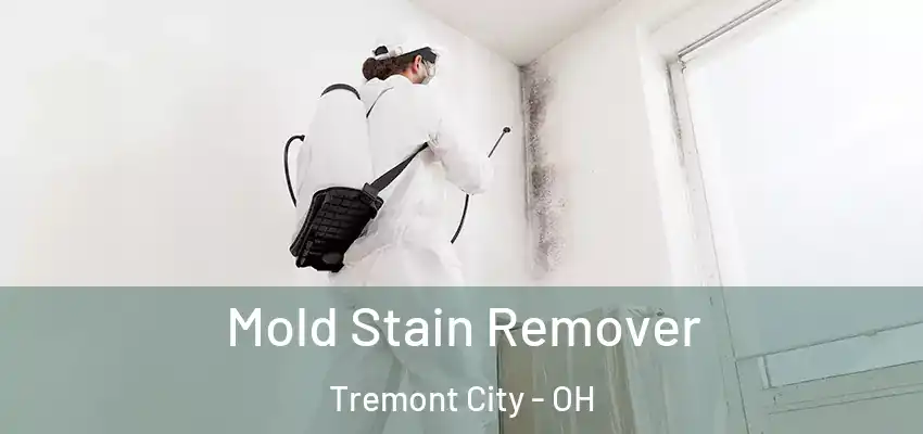  Mold Stain Remover Tremont City - OH