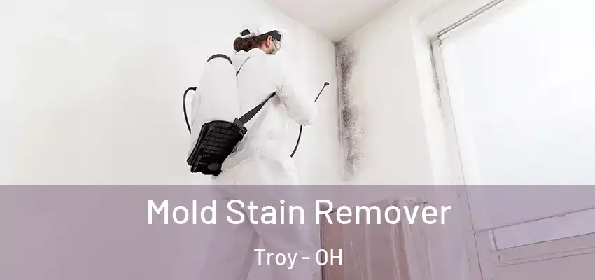  Mold Stain Remover Troy - OH