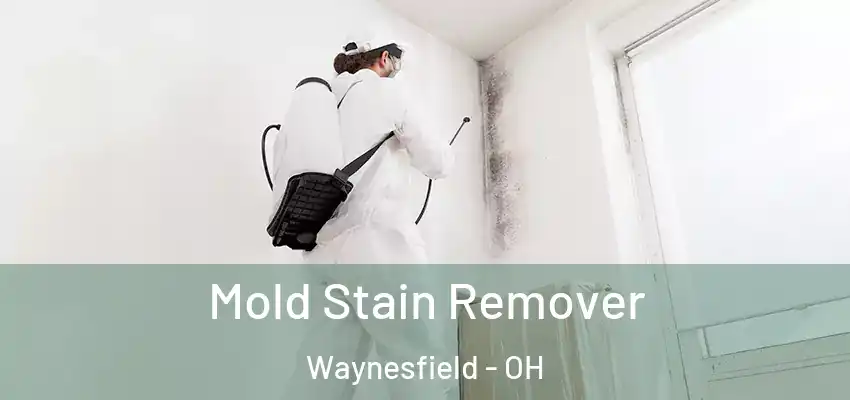 Mold Stain Remover Waynesfield - OH