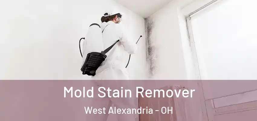  Mold Stain Remover West Alexandria - OH