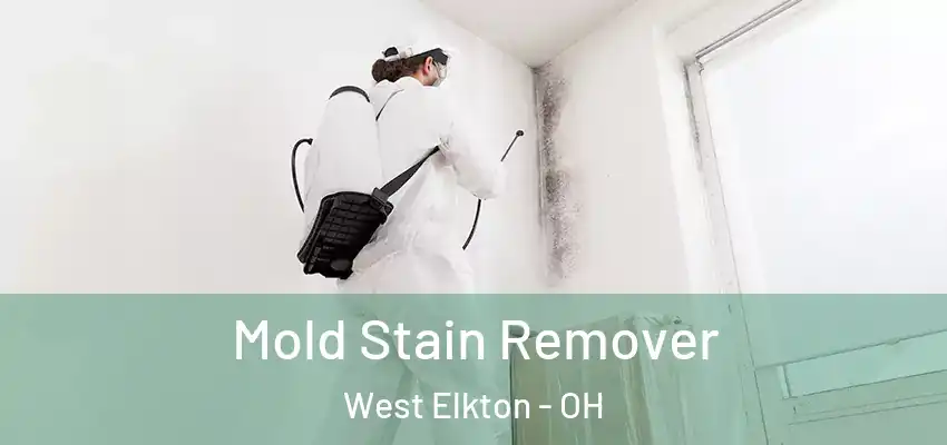  Mold Stain Remover West Elkton - OH