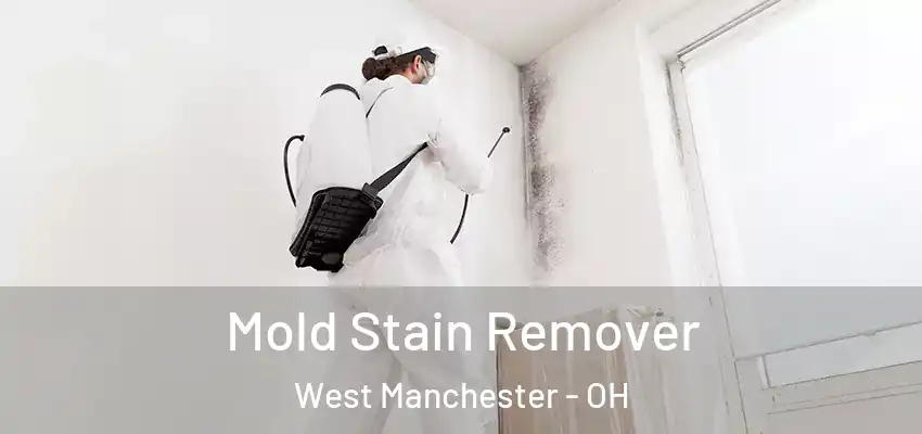 Mold Stain Remover West Manchester - OH