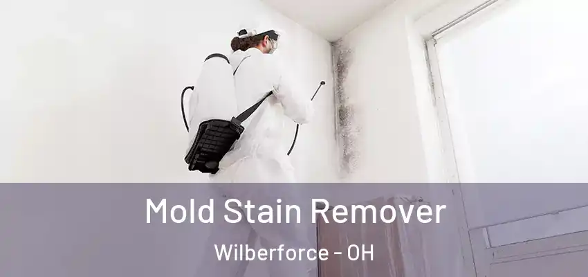 Mold Stain Remover Wilberforce - OH