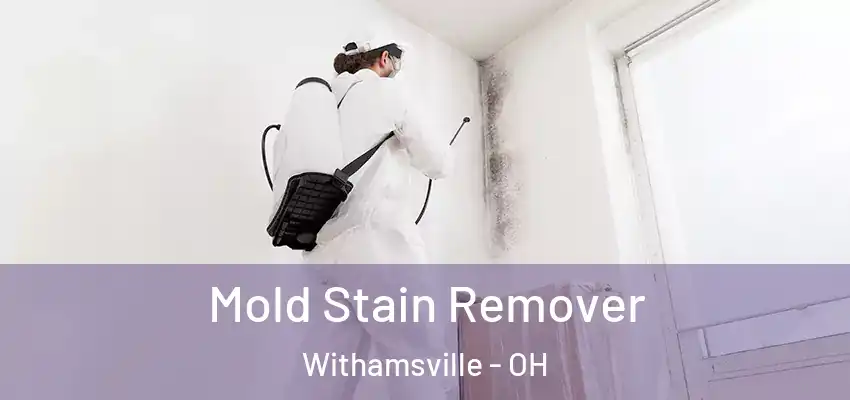  Mold Stain Remover Withamsville - OH