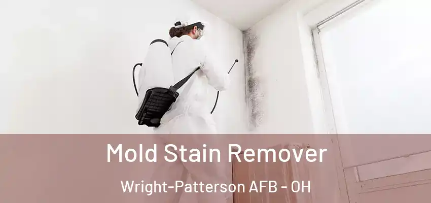  Mold Stain Remover Wright-Patterson AFB - OH