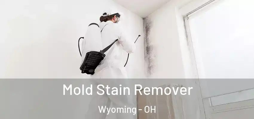 Mold Stain Remover Wyoming - OH