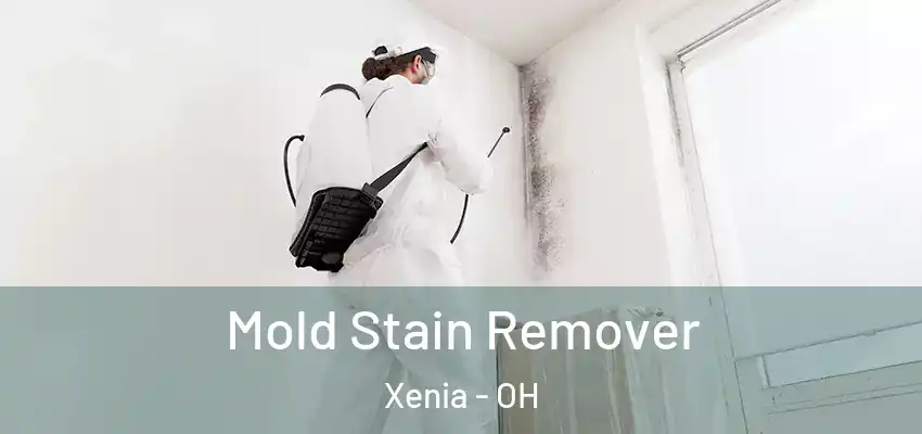 Mold Stain Remover Xenia - OH