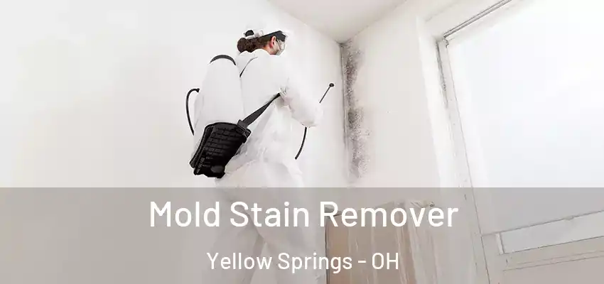  Mold Stain Remover Yellow Springs - OH