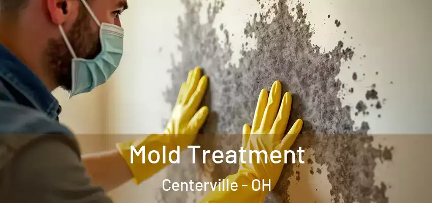 Mold Treatment Centerville - OH