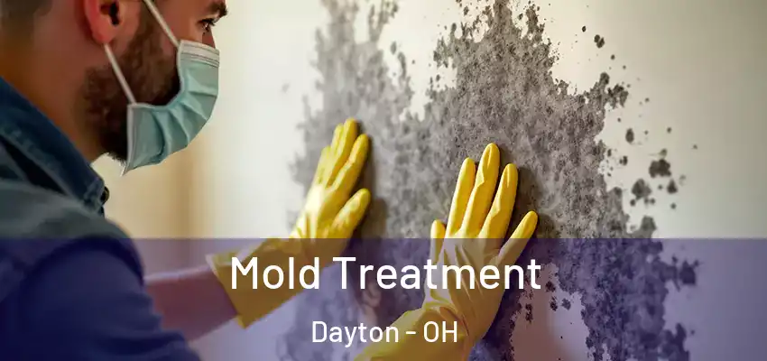  Mold Treatment Dayton - OH